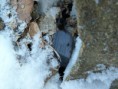 /album/fotogalerie/a181921-1551429116430-1556214389-31098576-6352061-n-jpg/